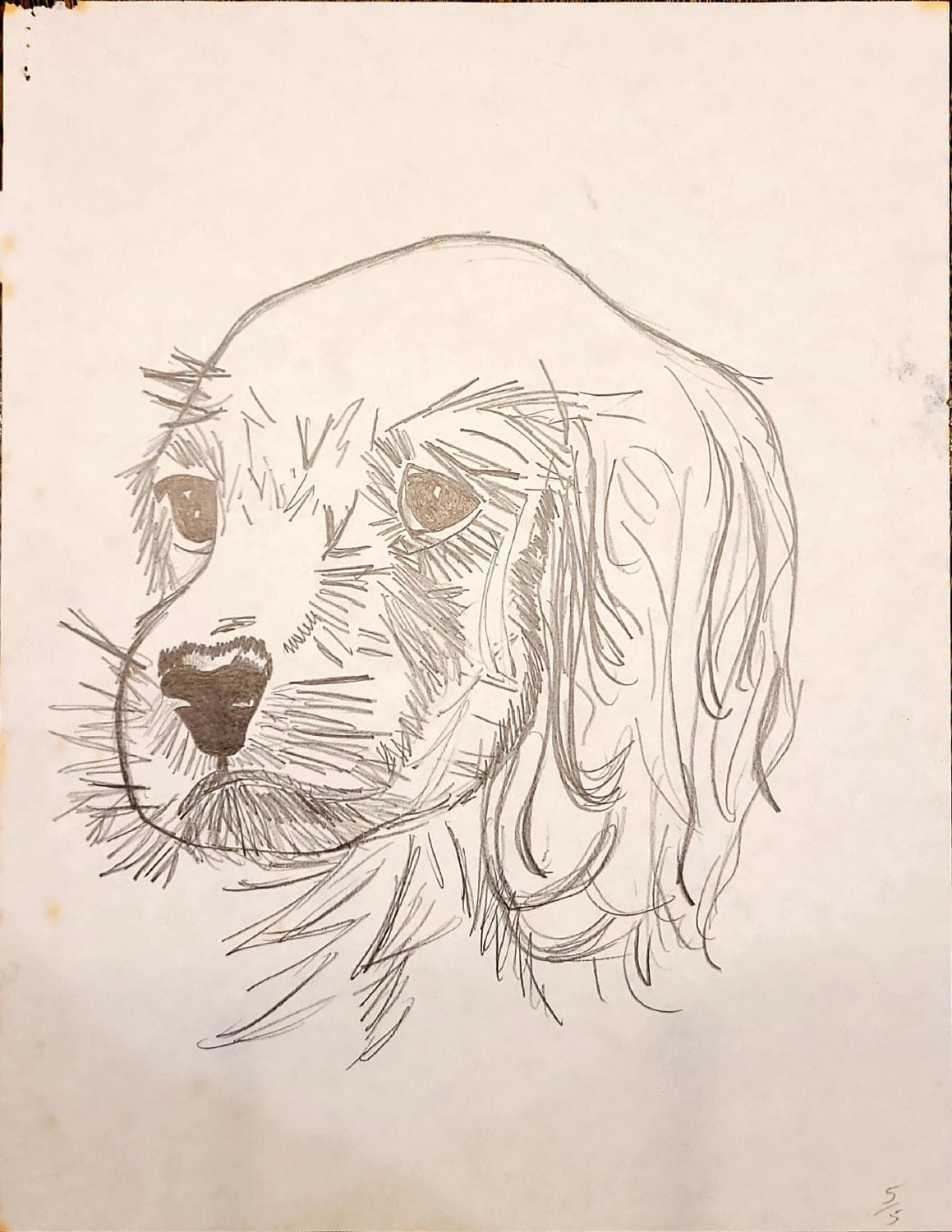 Dog