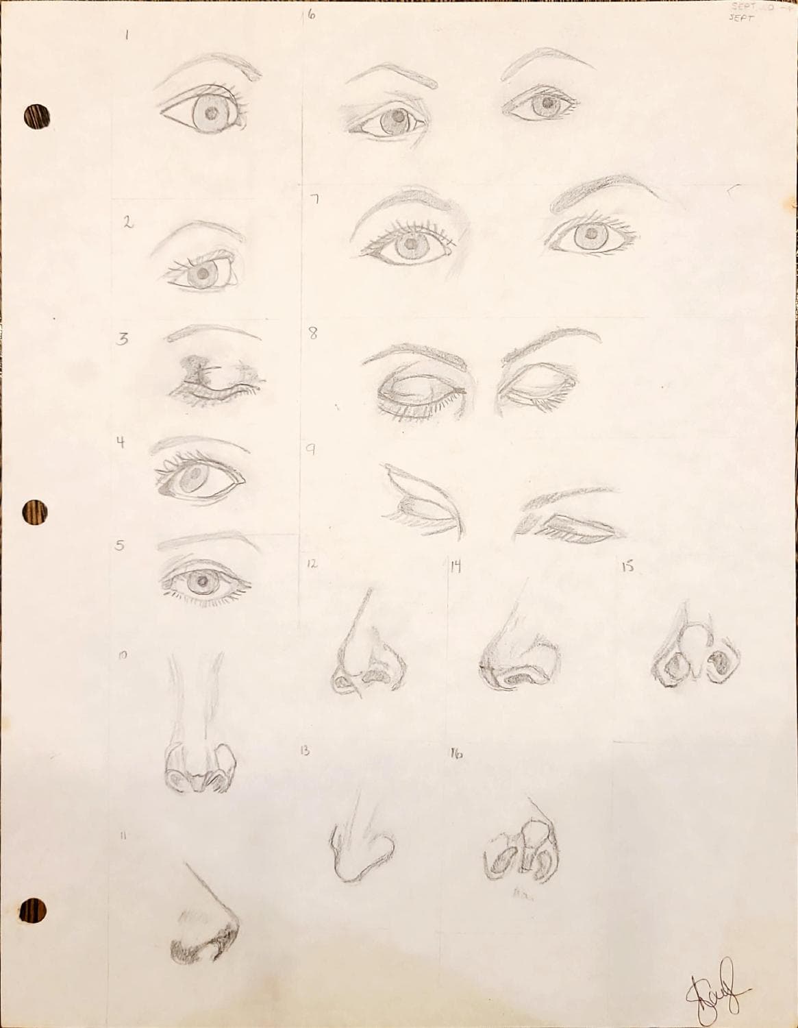 Eyes and Nose