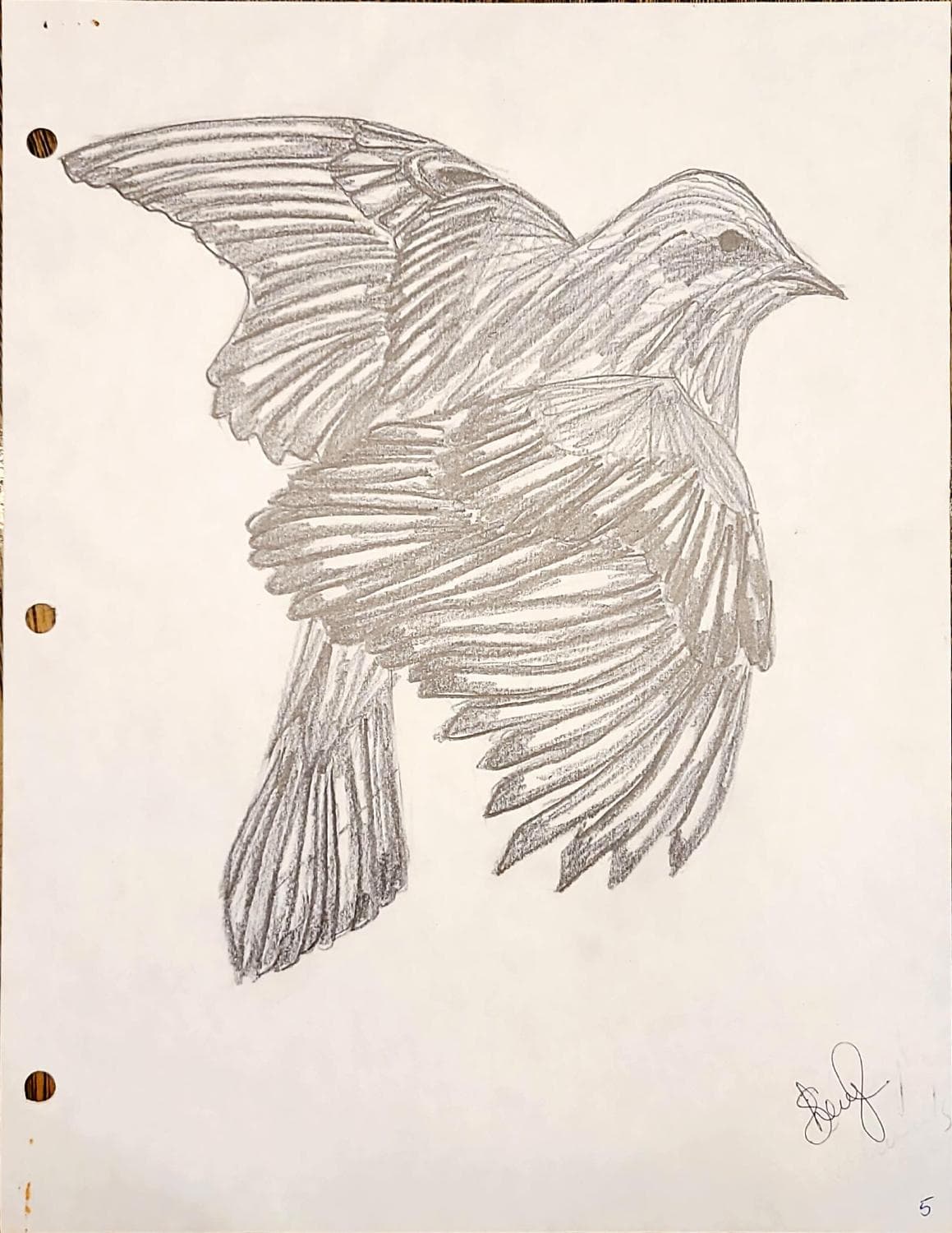 Flying Bird